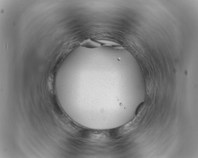 X0000088090175200706011613