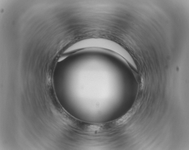 X0000088090176200706011613