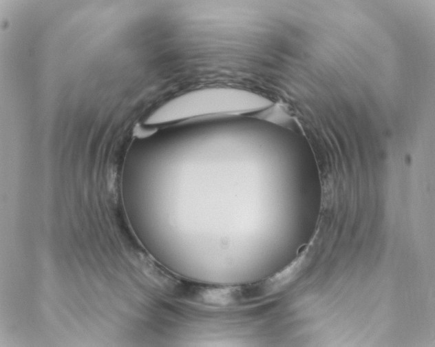 X0000088090178200706011613