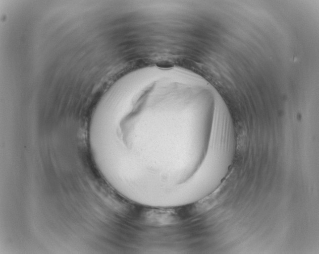 X0000088090179200706011613