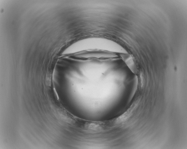 X0000088090180200706011613