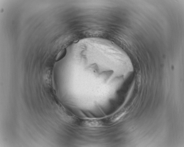 X0000088090181200706011613