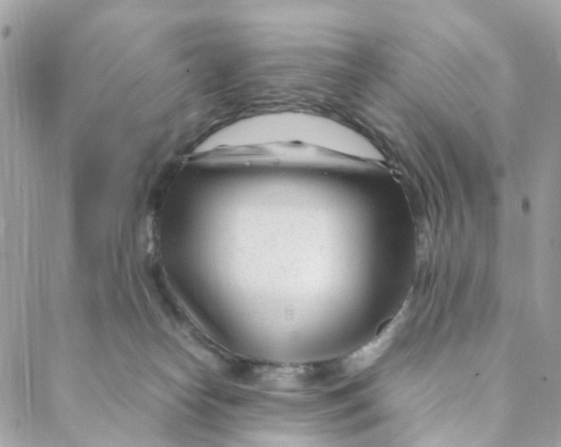 X0000088090182200706011613