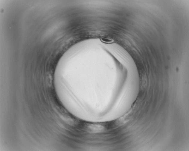 X0000088090183200706011613