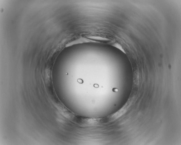 X0000088090184200706011613