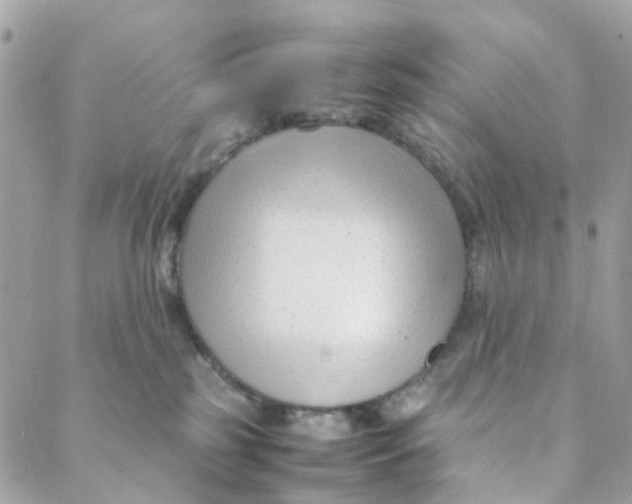 X0000088090185200706011613