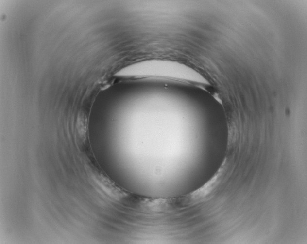 X0000088090186200706011613