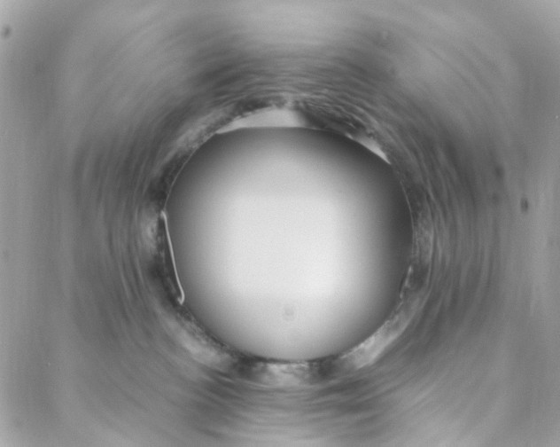 X0000088090188200706011613