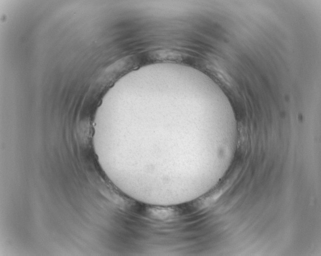 X0000088090189200706011613