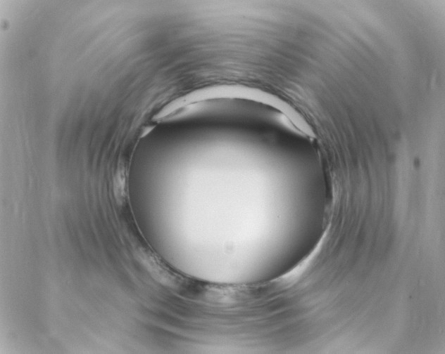 X0000088090190200706011613