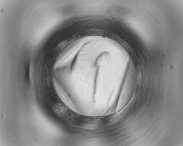 X0000088090191200706011613