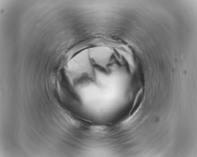 X0000088090192200706011613