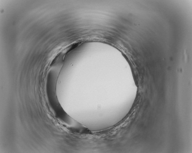 X0000088090193200706011612