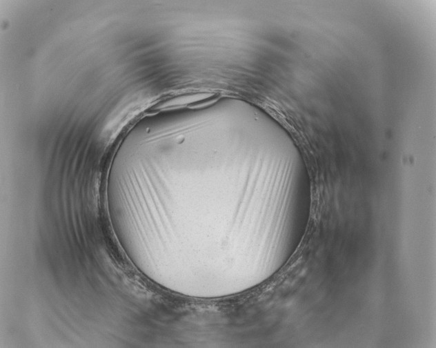 X0000088090194200706011612