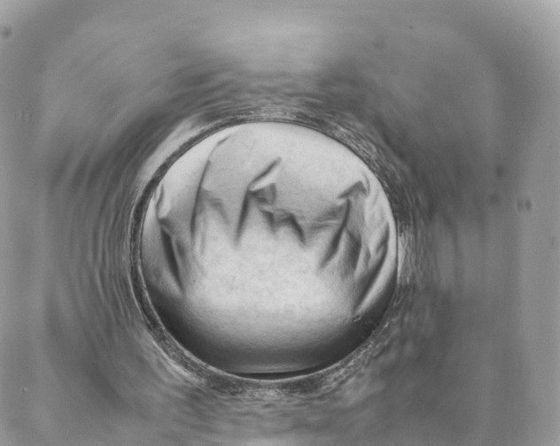 X0000088090195200706011612