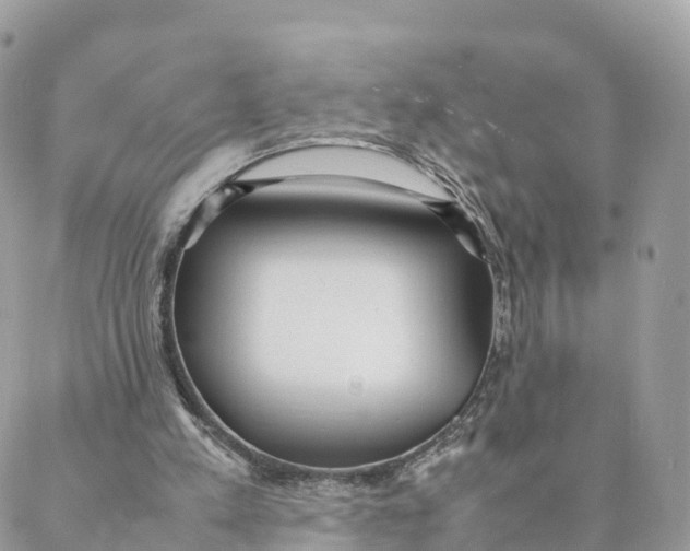 X0000088090197200706011612