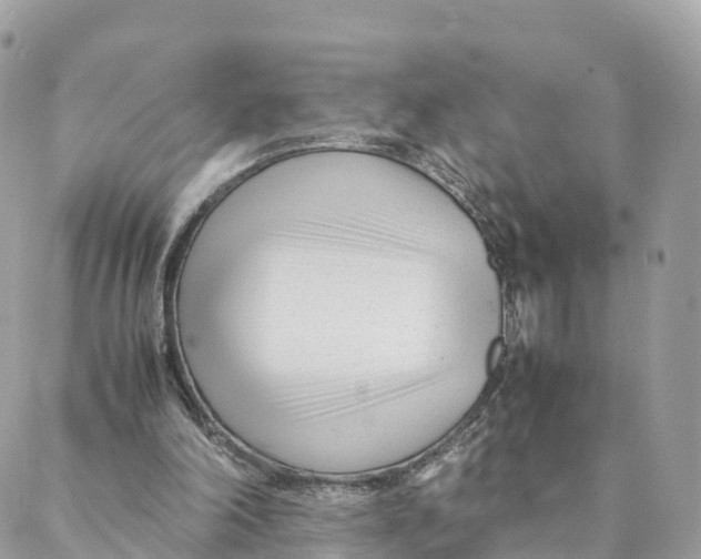 X0000088090198200706011612