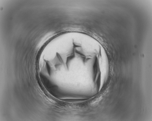 X0000088090199200706011612