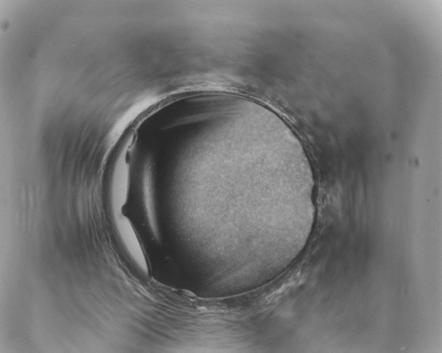 X0000088090200200706011612