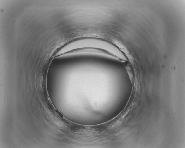 X0000088090201200706011612