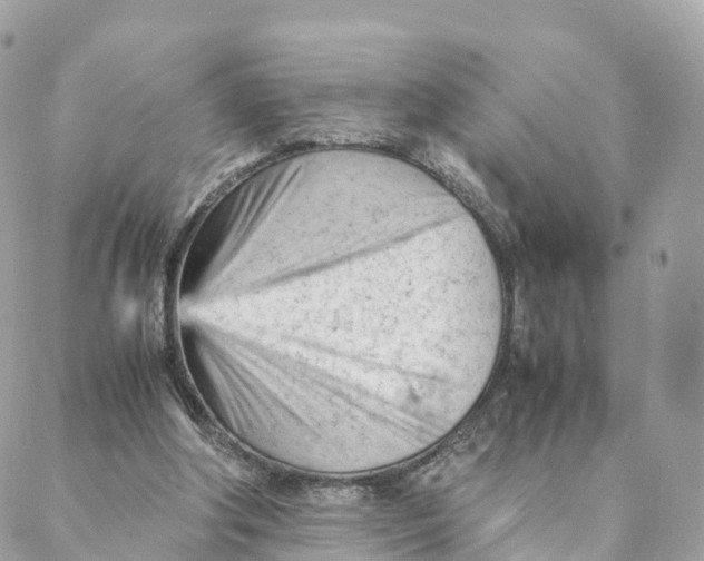 X0000088090202200706011612