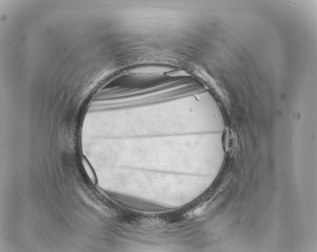 X0000088090203200706011612