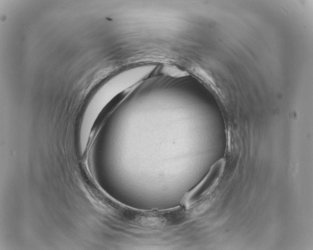 X0000088090205200706011612