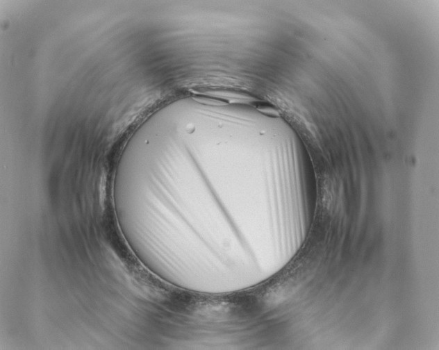 X0000088090206200706011612