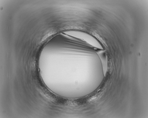 X0000088090207200706011612