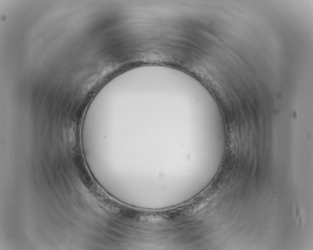 X0000088090208200706011612