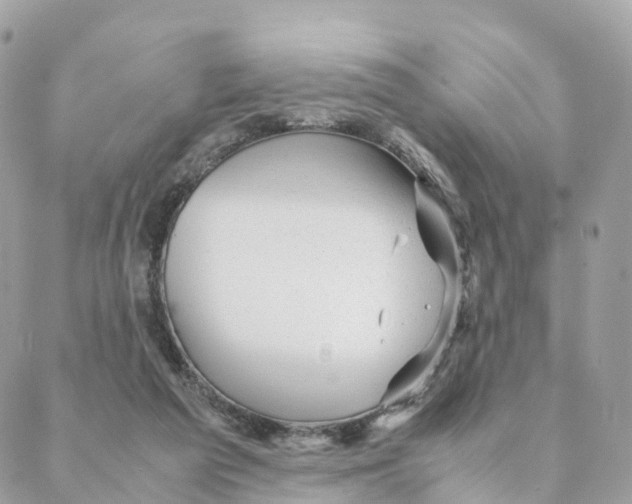 X0000088090209200706011612