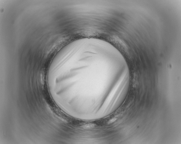 X0000088090210200706011612