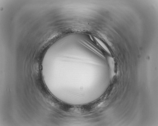 X0000088090211200706011612