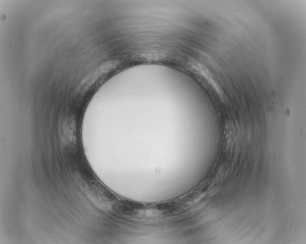 X0000088090212200706011612