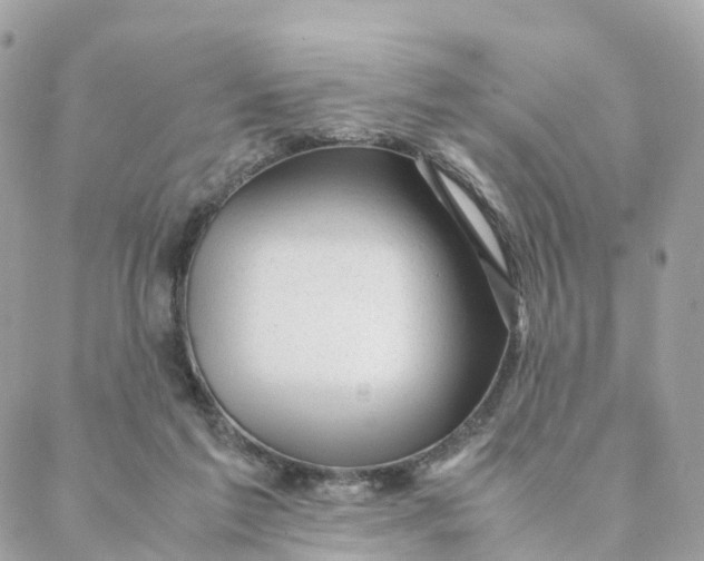 X0000088090213200706011612