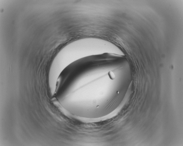 X0000088090215200706011612