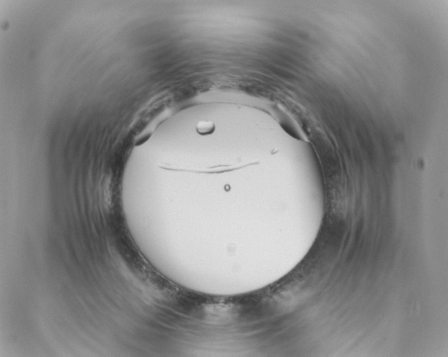 X0000088090216200706011612