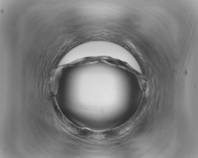 X0000088090217200706011612