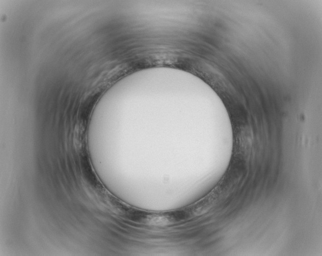 X0000088090218200706011612