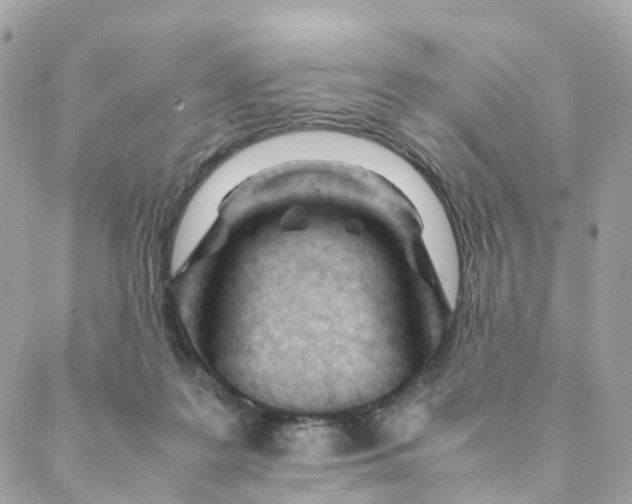 X0000088090219200706011612