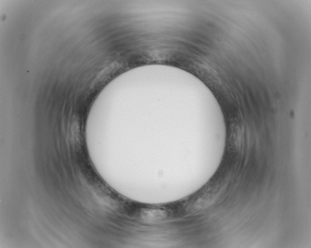 X0000088090220200706011612