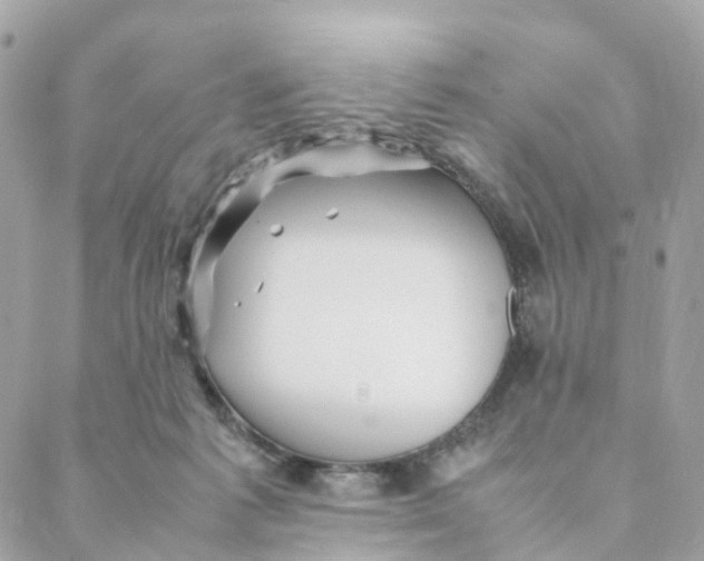 X0000088090221200706011612