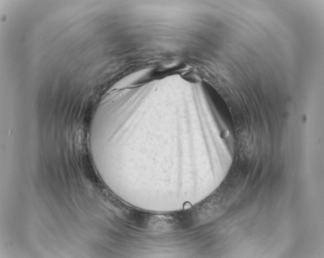 X0000088090222200706011612