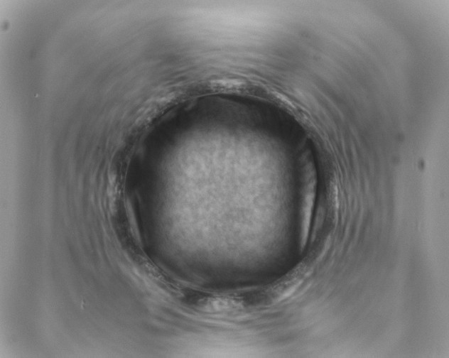 X0000088090223200706011612