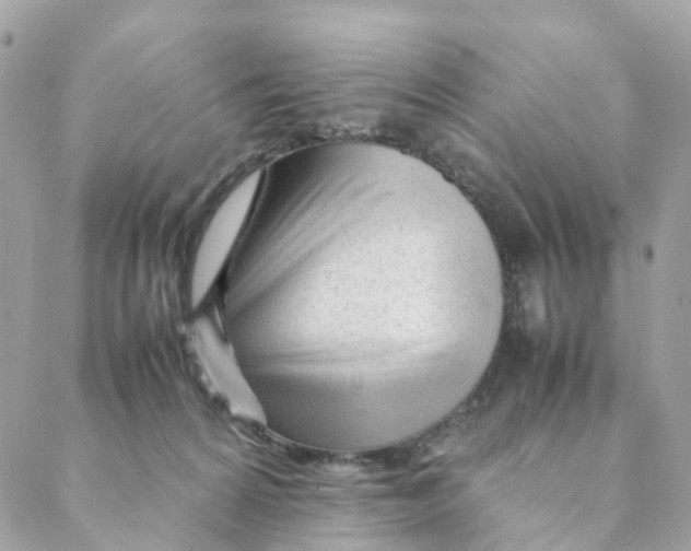 X0000088090224200706011612