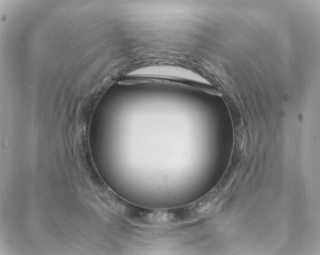 X0000088090225200706011612