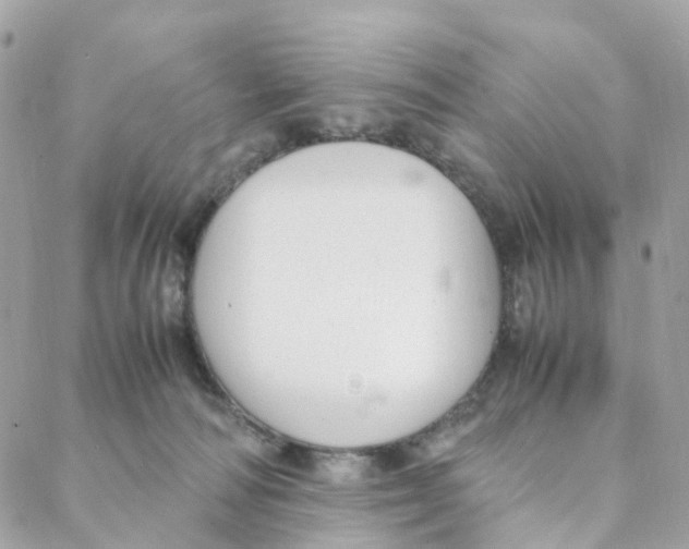 X0000088090226200706011612