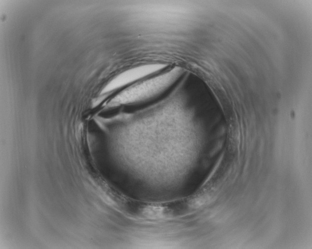 X0000088090227200706011612