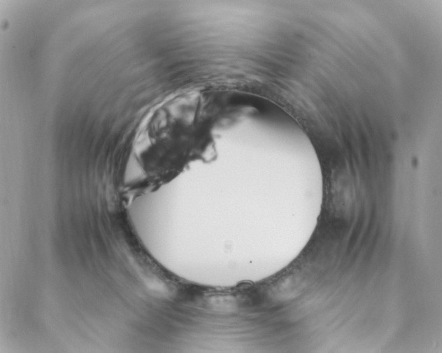 X0000088090228200706011612