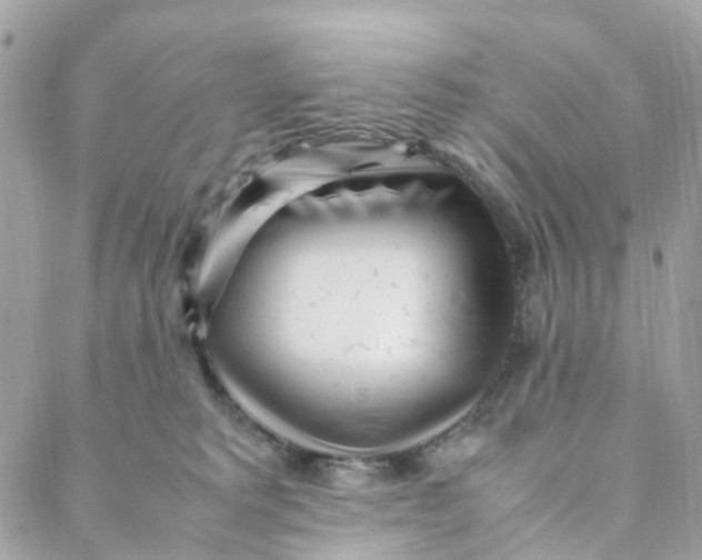 X0000088090229200706011612